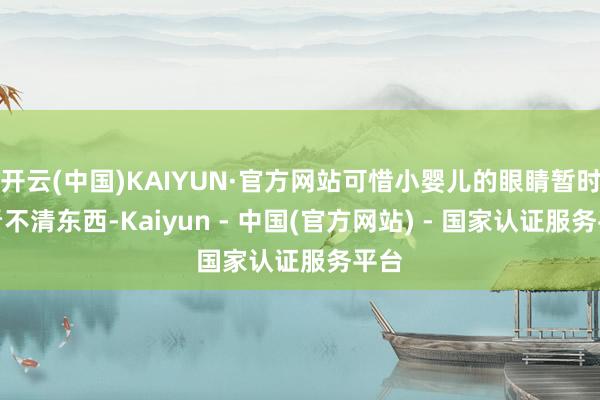 开云(中国)KAIYUN·官方网站可惜小婴儿的眼睛暂时还看不清东西-Kaiyun - 中国(官方网站) - 国家认证服务平台